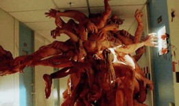 合子异种在线观看