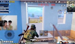 爆料空港大鲨鱼事件视频,神秘视频揭秘惊心动魄一幕